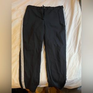 Zara Basics Pants